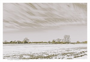 LANDSCHAP AARTWOUD IN SEPIA