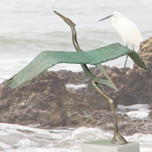 BLAUWE REIGER