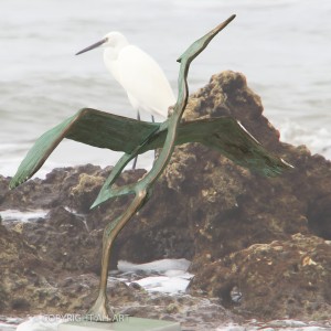 BLAUWE REIGER